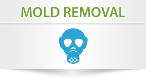 Mold Remediation Phoenix AZ